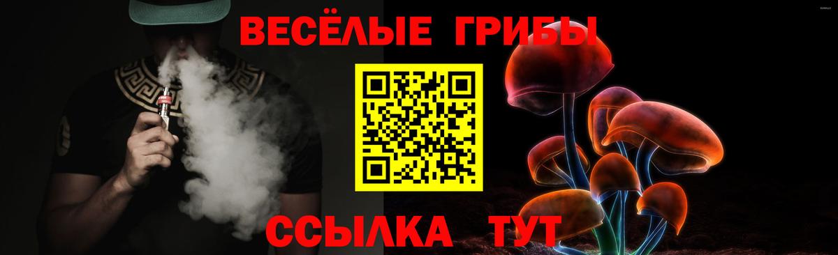 Псилоцибиновые грибы Magic Shrooms  Вход с VPN  где можно купить наркотик  Галлюциногенные грибы MAGIC MUSHROOMS  Котовск 